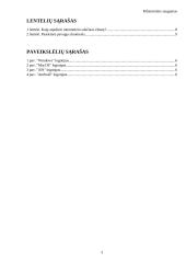 Kibernetinis saugumas (referatas) 2 puslapis