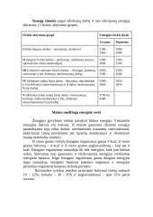 Sveika mityba pagal amžiaus grupes 4 puslapis