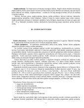 Sveikata ir jos svarba 6 puslapis