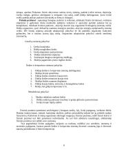 Sveikata ir jos svarba 7 puslapis