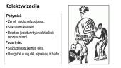 Demokratijos ir diktatūros Tarpukariu 14 puslapis