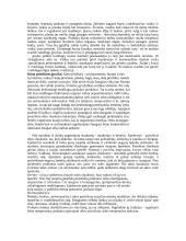 Sveikata. Įpročiai 2 puslapis