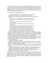 Sveikata. Įpročiai 20 puslapis