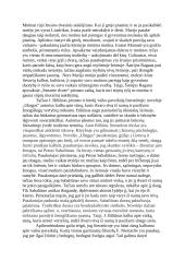 Vaiko paveikslas literatūroje (rašinys) 2 puslapis