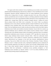 Ar baudžiamosios bylos atnaujinimo instituto taikymas Lietuvoje užtikrina teisę į teisingą teismą? 2 puslapis