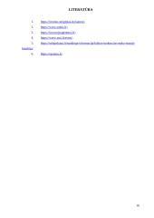 Verslo idėja - greito maisto užkandinė 15 puslapis