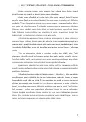 Verslo idėja - greito maisto užkandinė 3 puslapis