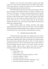 Verslo idėja - greito maisto užkandinė 9 puslapis