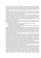 Sveikatos priežiūros paslaugų pirkėjų (finansinių tarpininkų) vaidmuo 6 puslapis