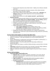 Nuosavybės teisė, teisė į svetimus daiktus 2 puslapis