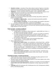 Nuosavybės teisė, teisė į svetimus daiktus 7 puslapis