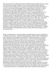 Asmeninės laimės ir pareigos konfliktas literatūroje (V. Mykolaitis-Putinas, A. Škėma, B. Krivickas) 2 puslapis