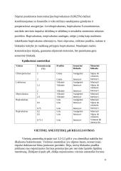 Epidurinės nejautros farmakalogija.  Slaugytojo vaidmuo 10 puslapis