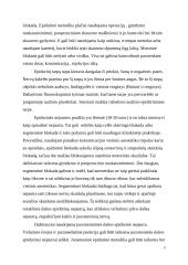 Epidurinės nejautros farmakalogija.  Slaugytojo vaidmuo 2 puslapis