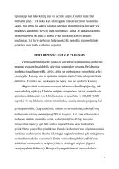 Epidurinės nejautros farmakalogija.  Slaugytojo vaidmuo 6 puslapis