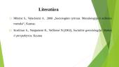 Bendruomenės narių požiūris į senyvo amžiaus žmones 15 puslapis