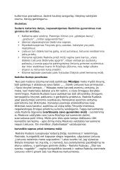 J. Radvanas „Radviliada“ - analizė 2 puslapis
