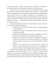 LR prezidento vaidmuo šalies valdymo procese 5 puslapis