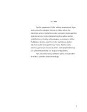 Šaligatvių įrengimas, panaudojant trinkeles 2 puslapis