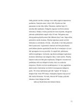 Šaligatvių įrengimas, panaudojant trinkeles 11 puslapis