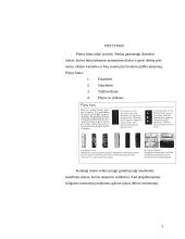 Šaligatvių įrengimas, panaudojant trinkeles 3 puslapis