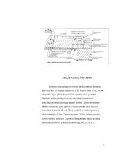 Šaligatvių įrengimas, panaudojant trinkeles 6 puslapis