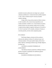 Šaligatvių įrengimas, panaudojant trinkeles 9 puslapis