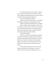 Šaligatvių įrengimas, panaudojant trinkeles 10 puslapis