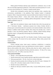 Šalių ekonominė analizė: Brazilija, Rusija, Indija, Kinija 11 puslapis