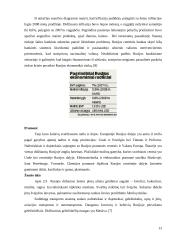 Šalių ekonominė analizė: Brazilija, Rusija, Indija, Kinija 13 puslapis