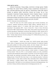 Šalių ekonominė analizė: Brazilija, Rusija, Indija, Kinija 14 puslapis