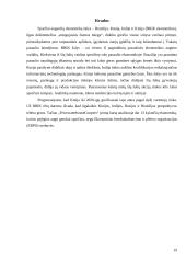 Šalių ekonominė analizė: Brazilija, Rusija, Indija, Kinija 19 puslapis