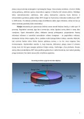Šalių ekonominė analizė: Brazilija, Rusija, Indija, Kinija 7 puslapis