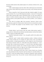 Šalių ekonominė analizė: Brazilija, Rusija, Indija, Kinija 9 puslapis