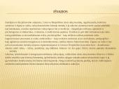 Bausmės ir paskatinimai auklėjant vaiką 19 puslapis