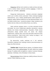 Šeima sociologijoje 3 puslapis