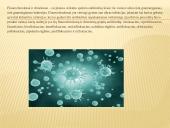 Chinolonų samprata, veikimas ir savybės 6 puslapis