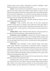 Socialinio darbuotojo profesiniai vaidmenys teikiant kompleksines paslaugas šeimai bendruomeniniuose šeimos namuose 18 puslapis