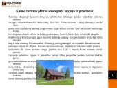 Kaimo turizmo plėtros tendencijos 4 puslapis