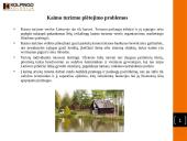 Kaimo turizmo plėtros tendencijos 6 puslapis