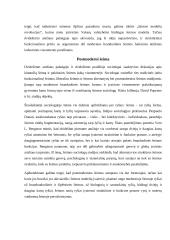 Šeimos samprata visuomenėje 4 puslapis