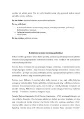 Ekoturizmas. Kultūrinis turizmas 2 puslapis