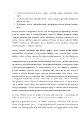 Ekoturizmas. Kultūrinis turizmas 15 puslapis