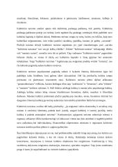 Ekoturizmas. Kultūrinis turizmas 16 puslapis