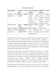 Ekoturizmas. Kultūrinis turizmas 17 puslapis