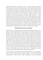 Ekoturizmas. Kultūrinis turizmas 7 puslapis