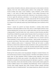 Ekoturizmas. Kultūrinis turizmas 9 puslapis