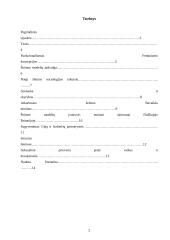 Šeimos tezės 2 puslapis