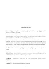 Šeimos tezės 3 puslapis