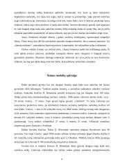 Šeimos tezės 6 puslapis